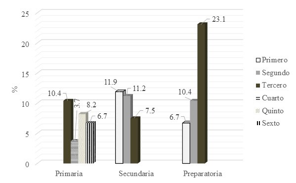 Figura 1. Escolaridad de la población estudiada